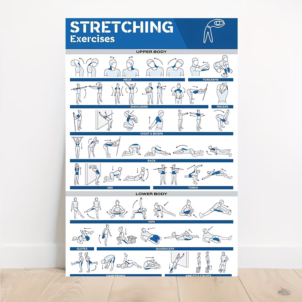 Modern Labeled Full-Body Stret – Home Gym Full Body recenzja i cena