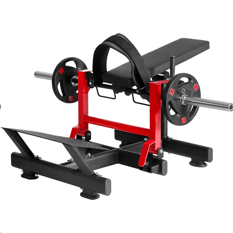 Glute and abdominal exercise m – Vertical Leg Press recenzja i cena