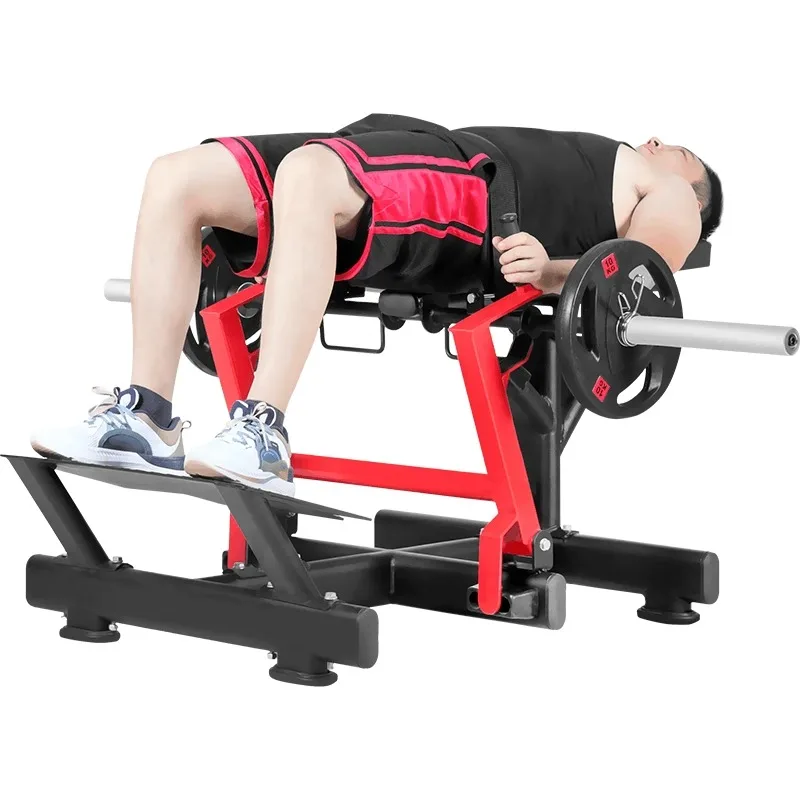 Glute and abdominal exercise m – Vertical Leg Press recenzja i cena
