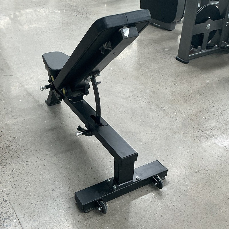 Adjustable Home Gym Dumbbell B – Home Gym Full Body recenzja i cena